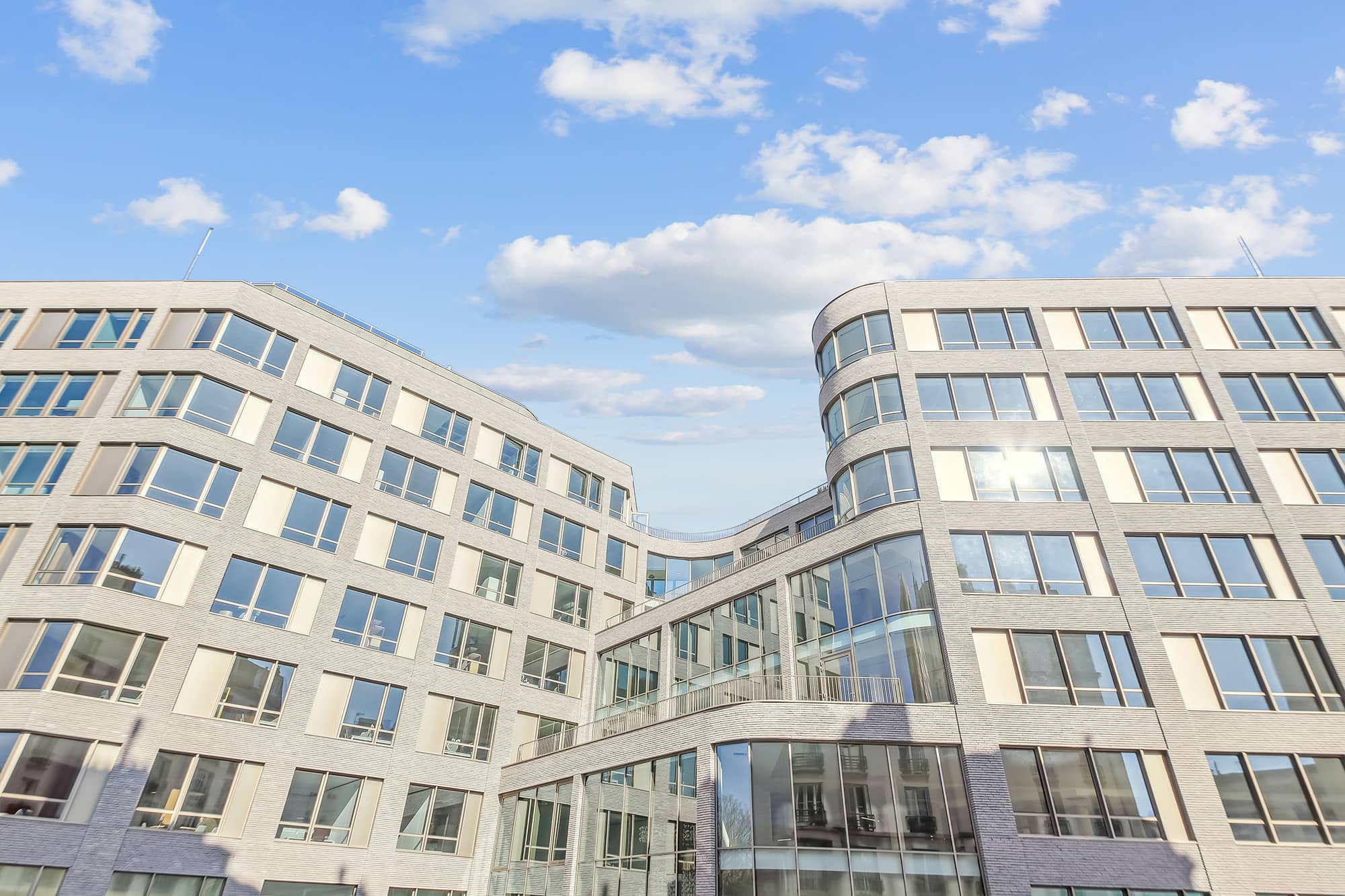 Featured image for “Kalifornia Dreamin’”