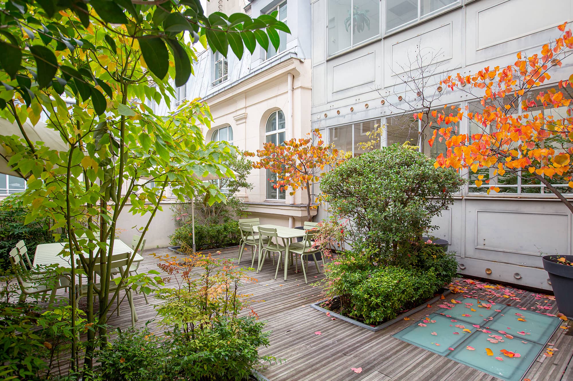 Featured image for “Ellasanté, un remède de prévention et de ressourcement”