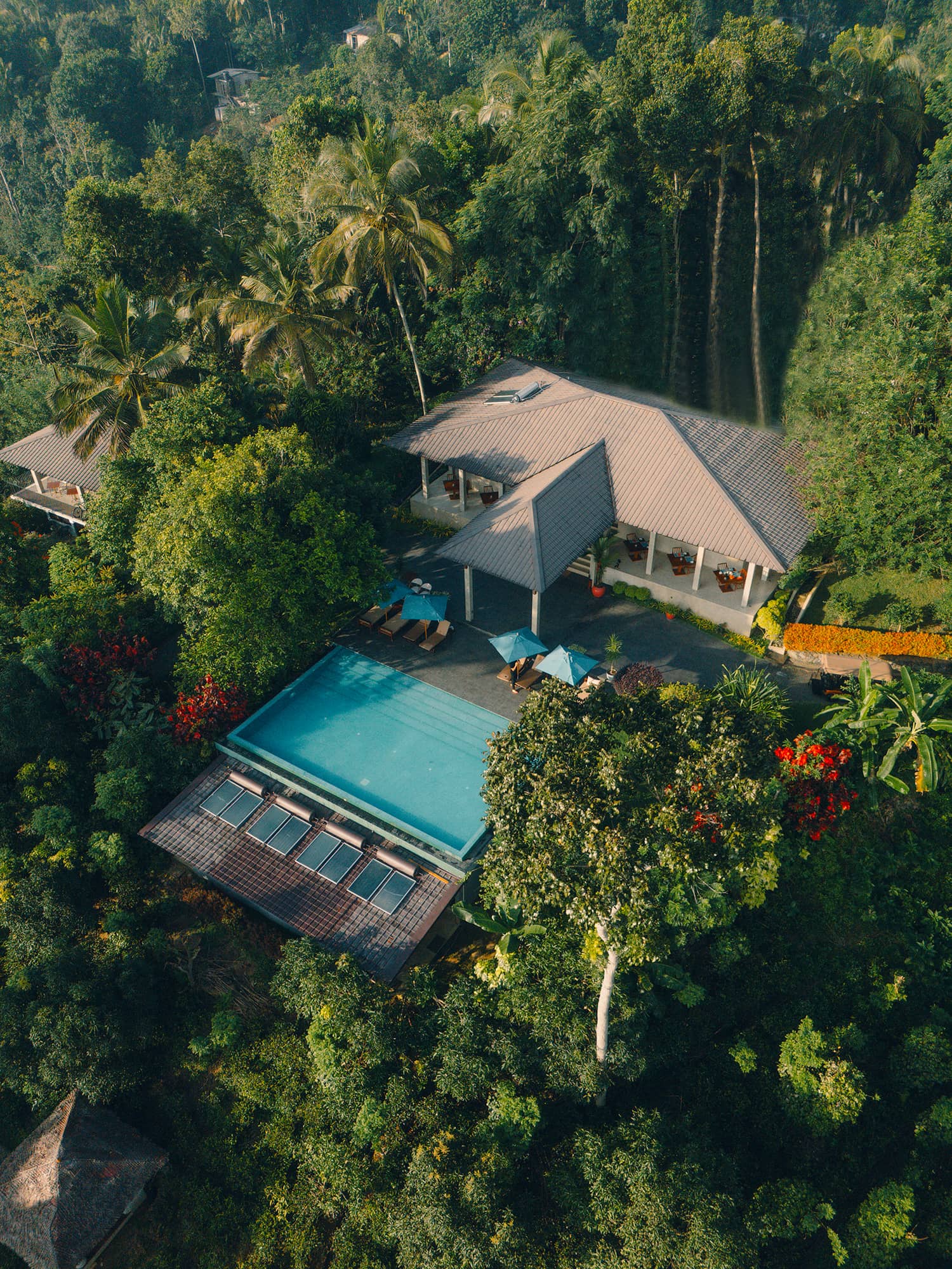 Featured image for “Ancrée dans le sol mais proche des étoiles”